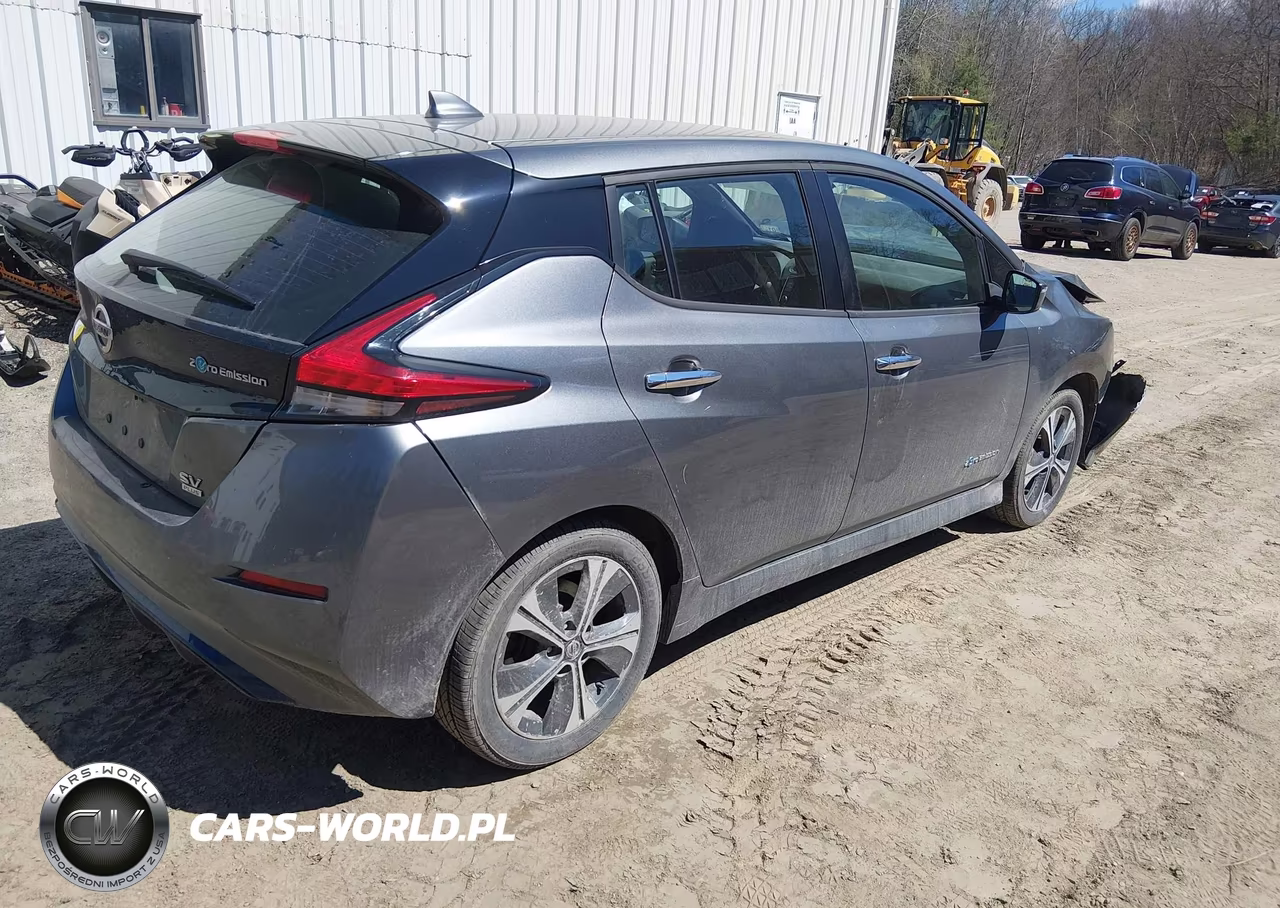 2019 Nissan Leaf Sv Plus VIN:1N4BZ1CP4KC317767 - 4