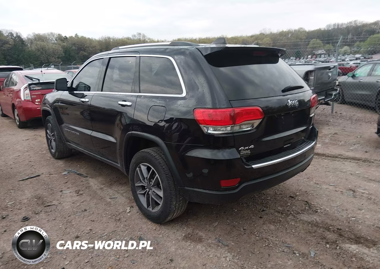 2019 Jeep Grand Cherokee Limited 4X4 VIN:1C4RJFBG1KC749456 - 3