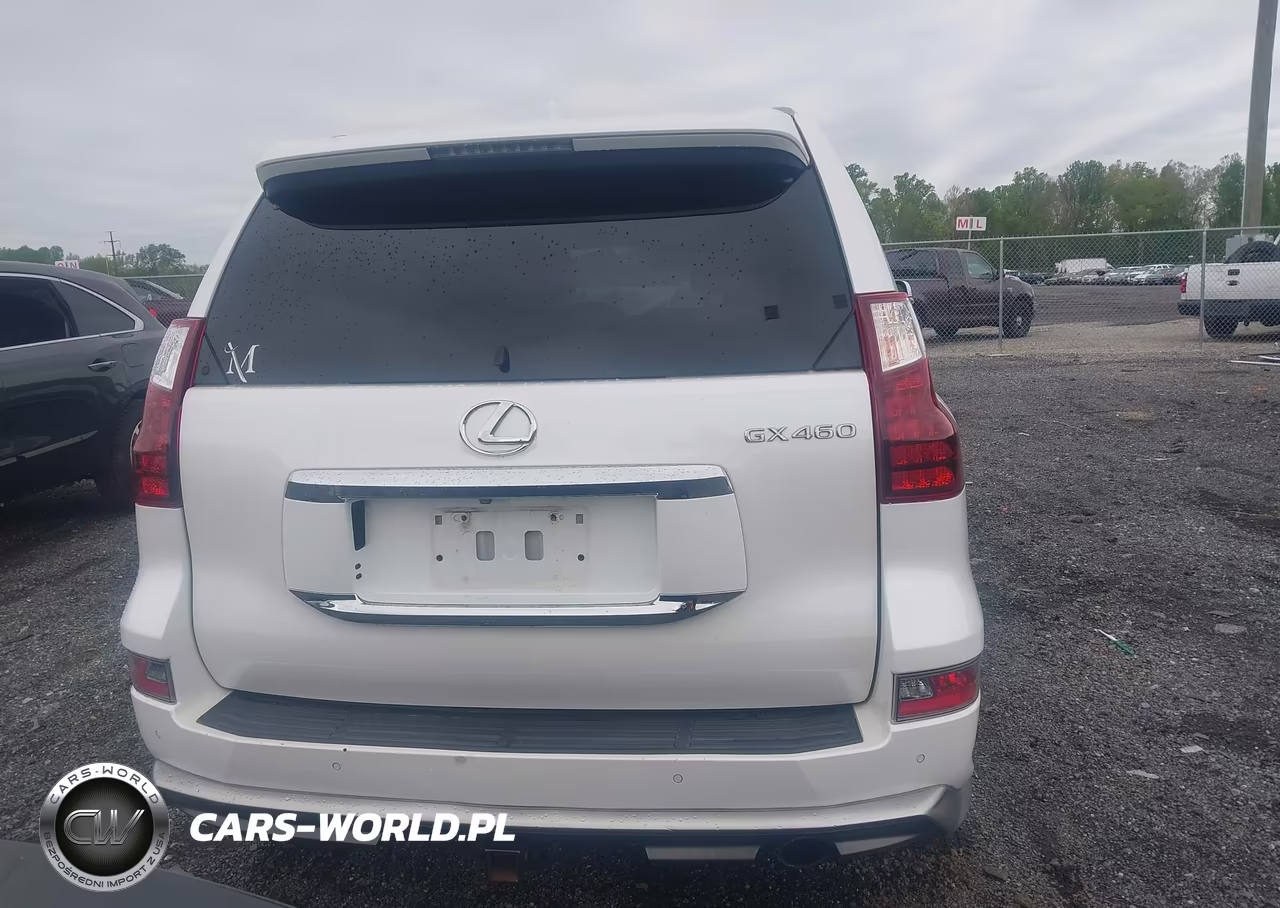 2018 Lexus Gx 460 Luxury VIN:JTJJM7FX9J5189741 - 17