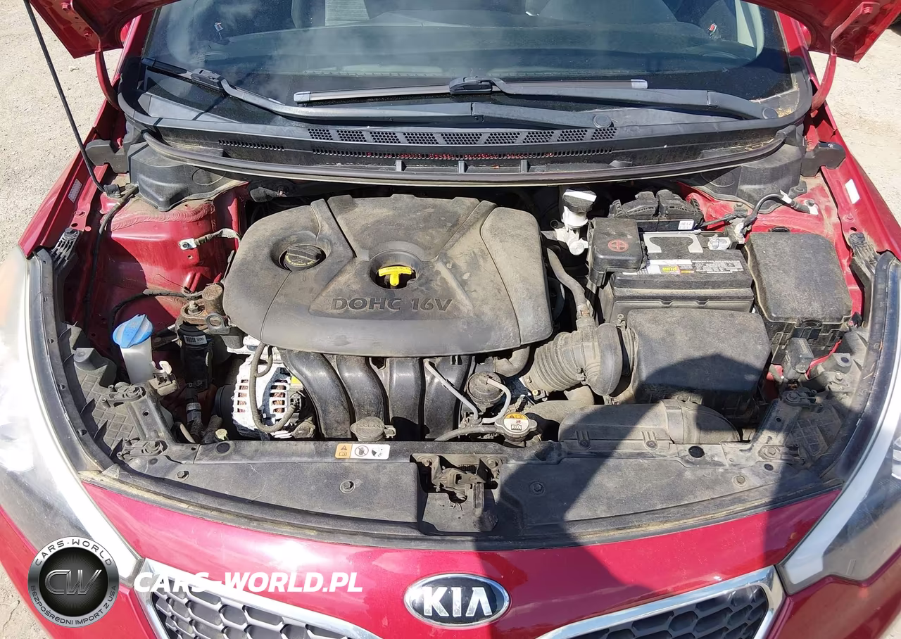 2015 Kia Forte Lx VIN:KNAFX4A69F5425614 - 10