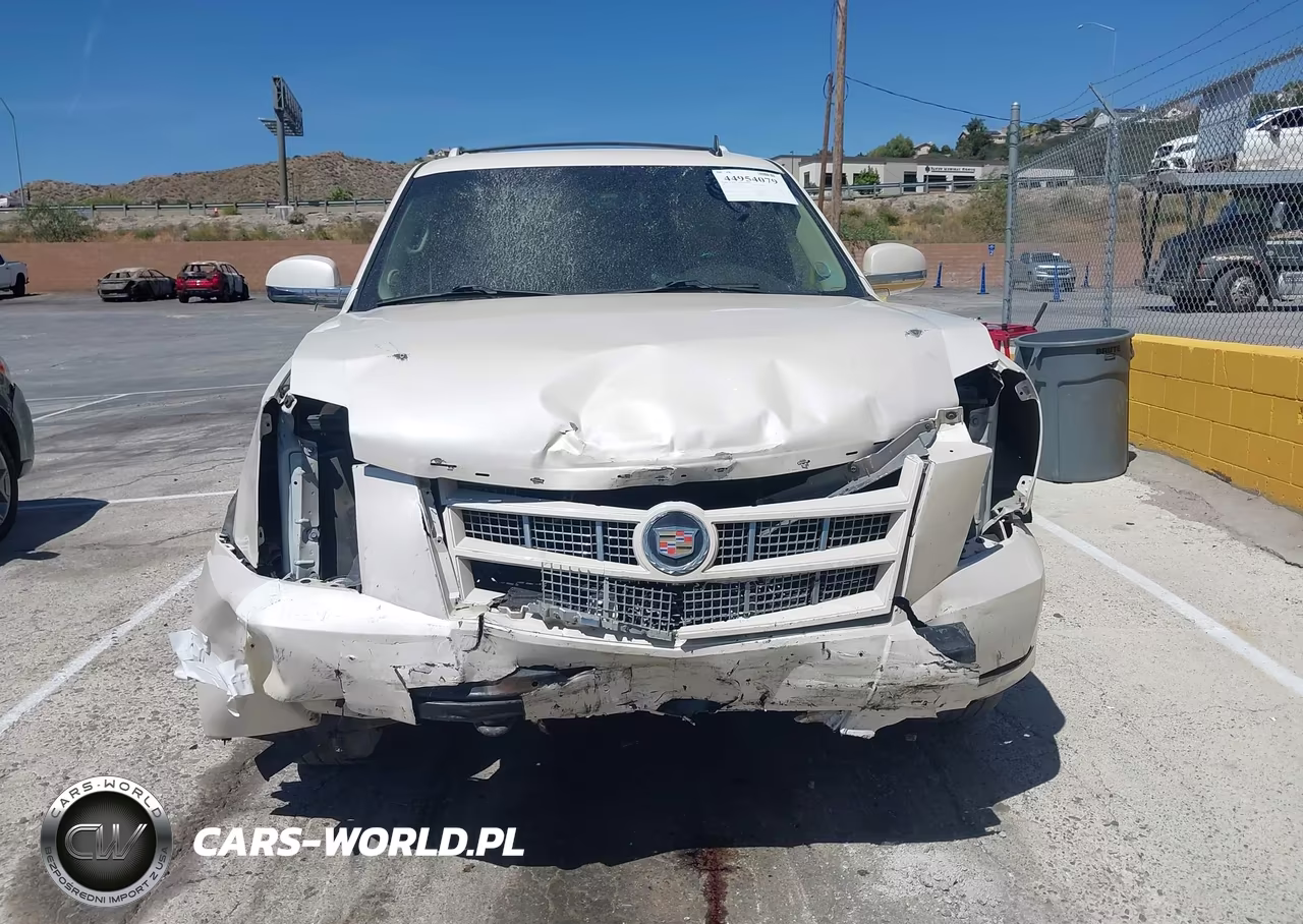 2013 Cadillac Escalade Premium VIN:1GYS4CEF1DR210517 - 12