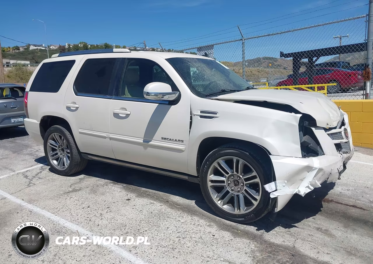 2013 Cadillac Escalade Premium VIN:1GYS4CEF1DR210517 - 13