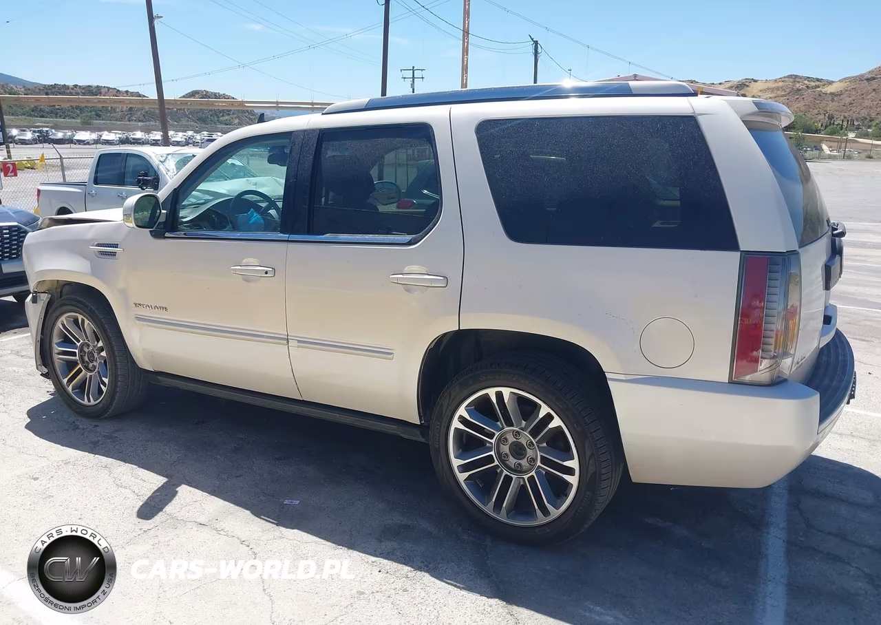 2013 Cadillac Escalade Premium VIN:1GYS4CEF1DR210517 - 14