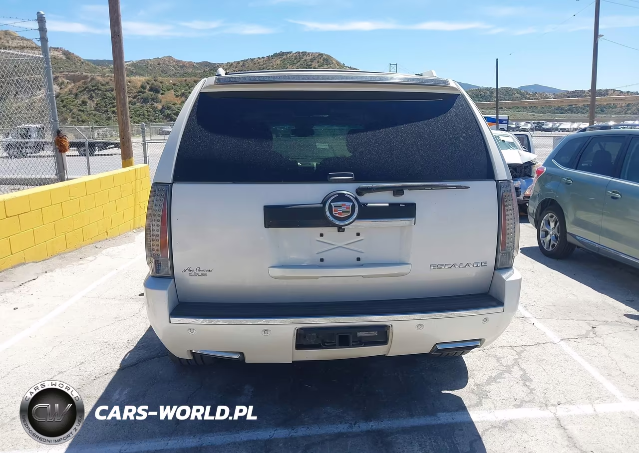 2013 Cadillac Escalade Premium VIN:1GYS4CEF1DR210517 - 16