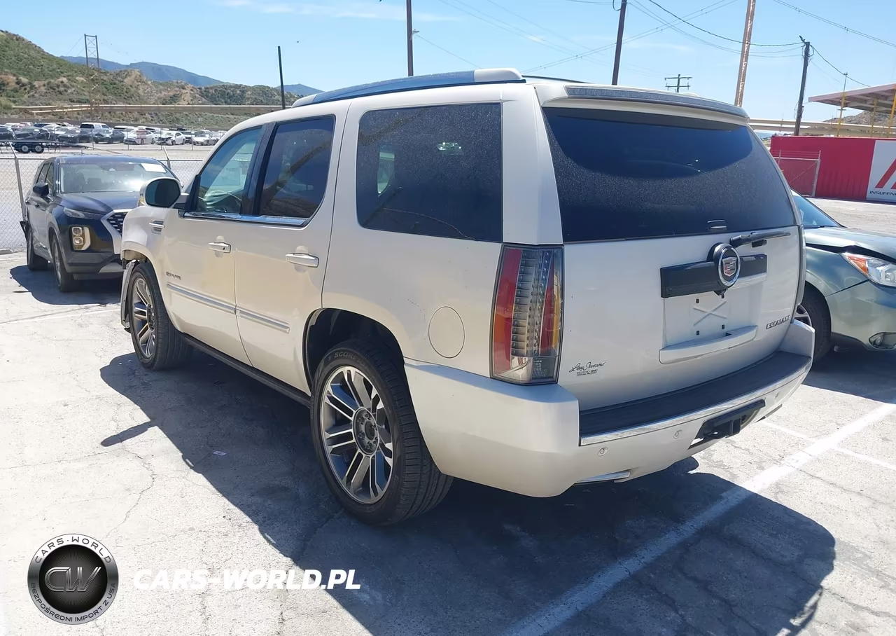 2013 Cadillac Escalade Premium VIN:1GYS4CEF1DR210517 - 3