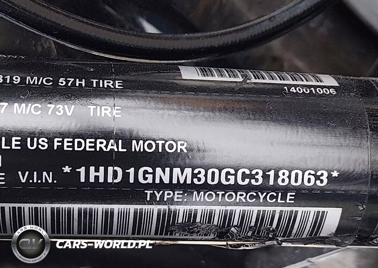 2016 Harley-Davidson Fxdl Dyna Low Rider VIN:1HD1GNM30GC318063 - 10
