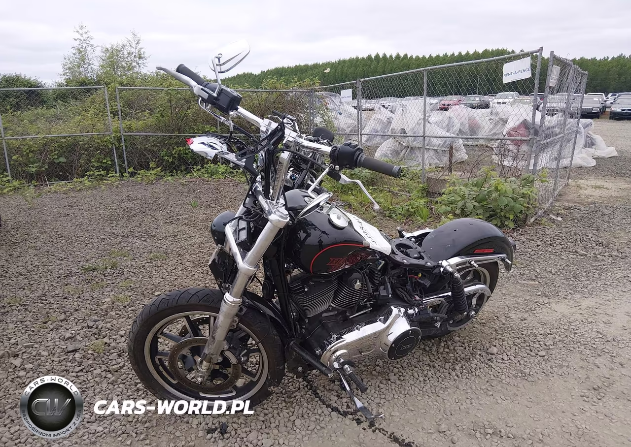 2016 Harley-Davidson Fxdl Dyna Low Rider VIN:1HD1GNM30GC318063 - 2