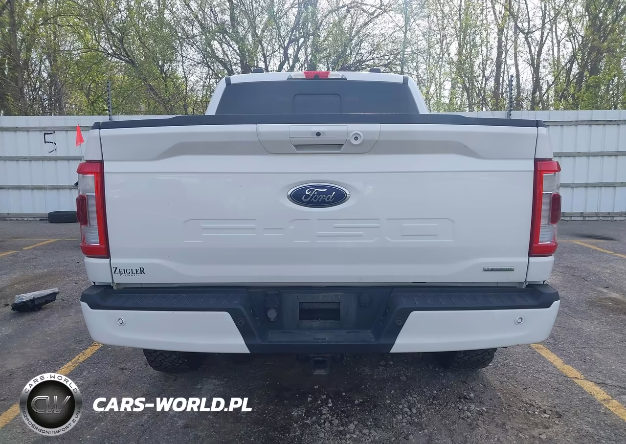 2021 Ford F-150 Lariat VIN:1FTFW1E83MFA81253 - 17