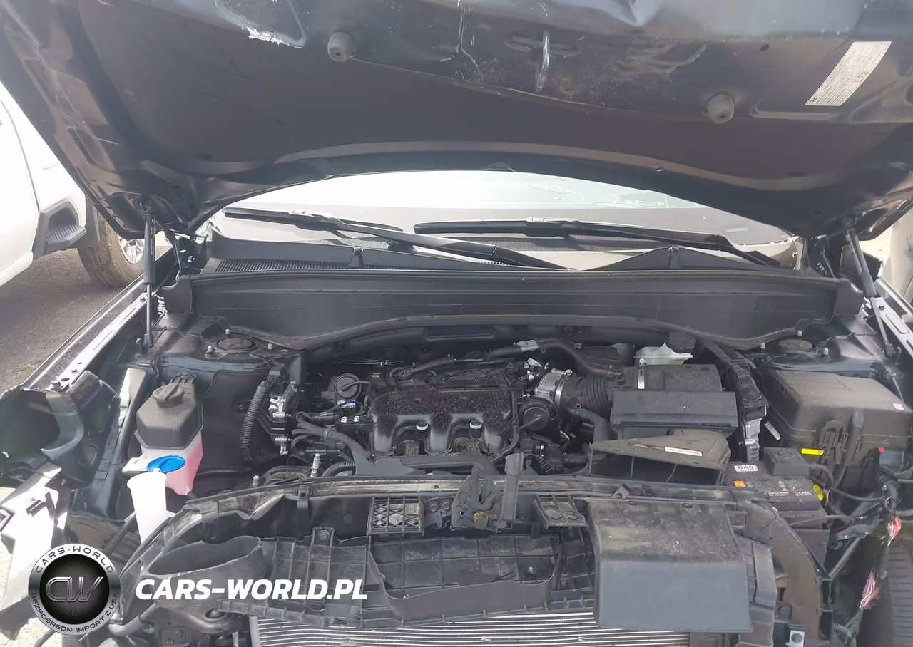 2023 Hyundai Palisade Calligraphy VIN:KM8R7DGEXPU629288 - 10