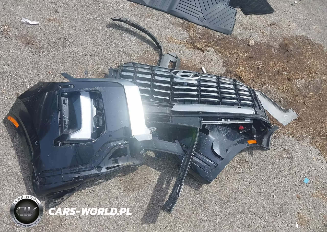 2023 Hyundai Palisade Calligraphy VIN:KM8R7DGEXPU629288 - 12