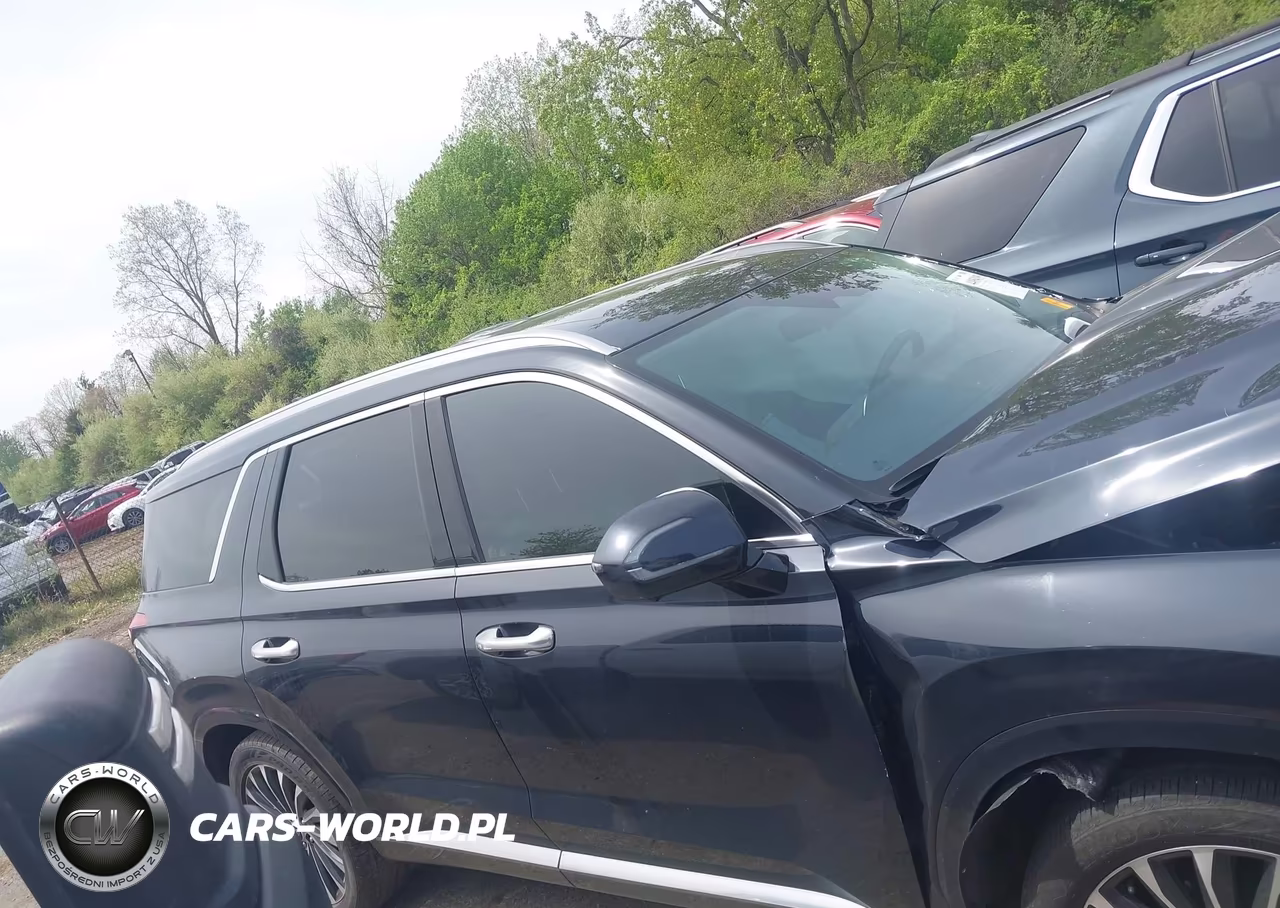 2023 Hyundai Palisade Calligraphy VIN:KM8R7DGEXPU629288 - 14