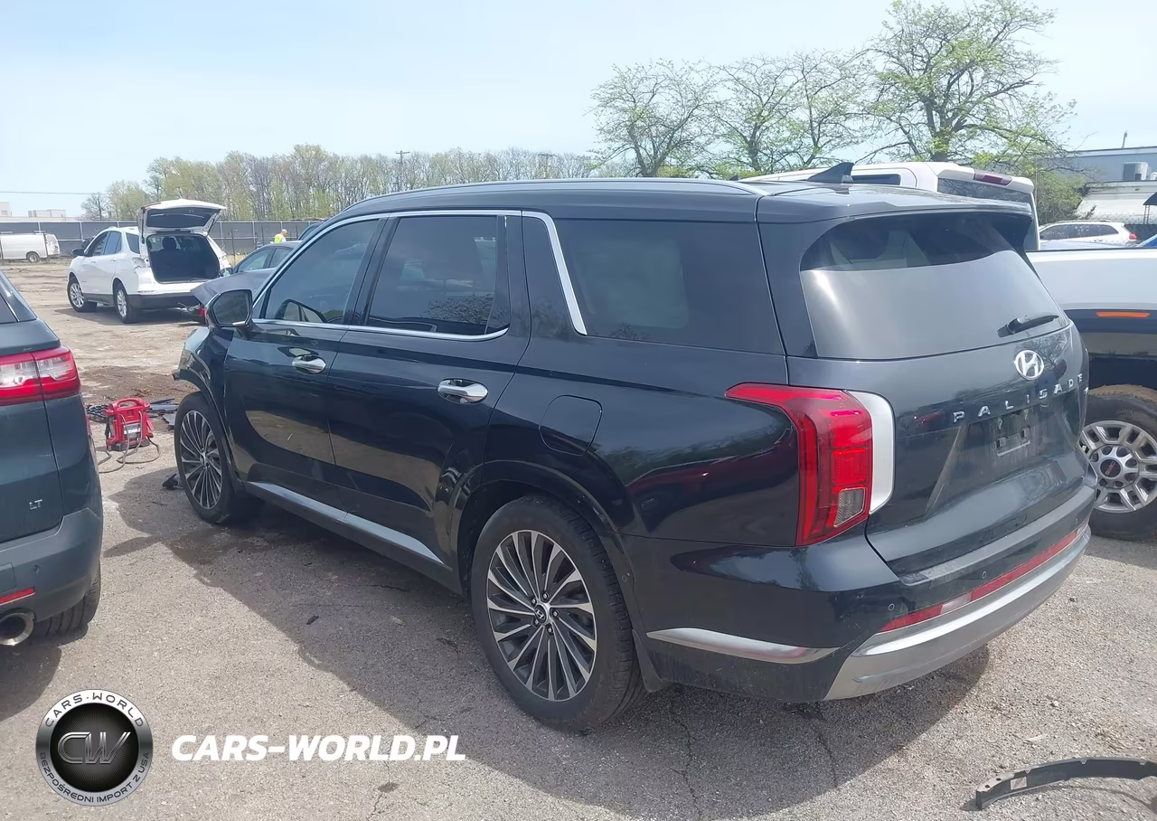 2023 Hyundai Palisade Calligraphy VIN:KM8R7DGEXPU629288 - 3
