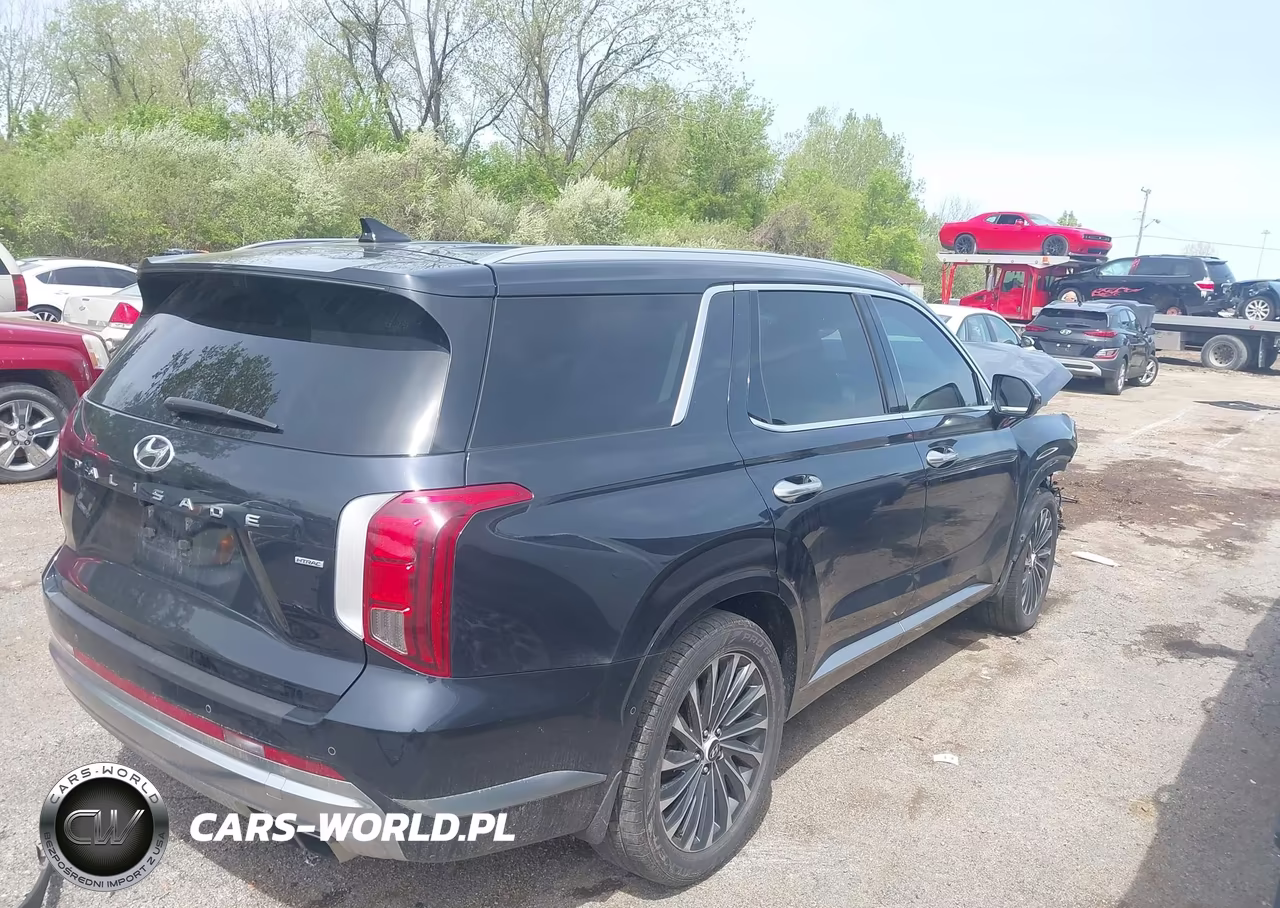 2023 Hyundai Palisade Calligraphy VIN:KM8R7DGEXPU629288 - 4