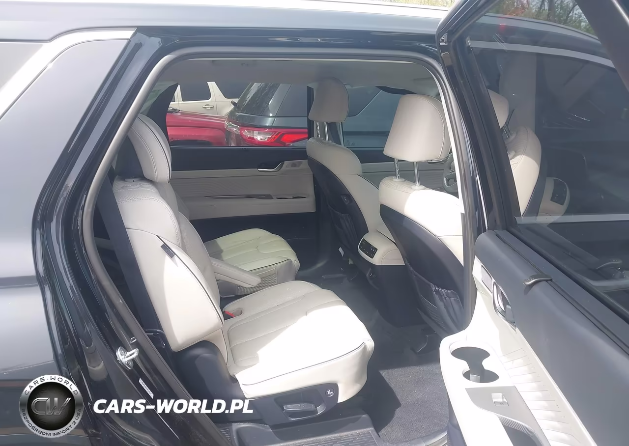 2023 Hyundai Palisade Calligraphy VIN:KM8R7DGEXPU629288 - 8