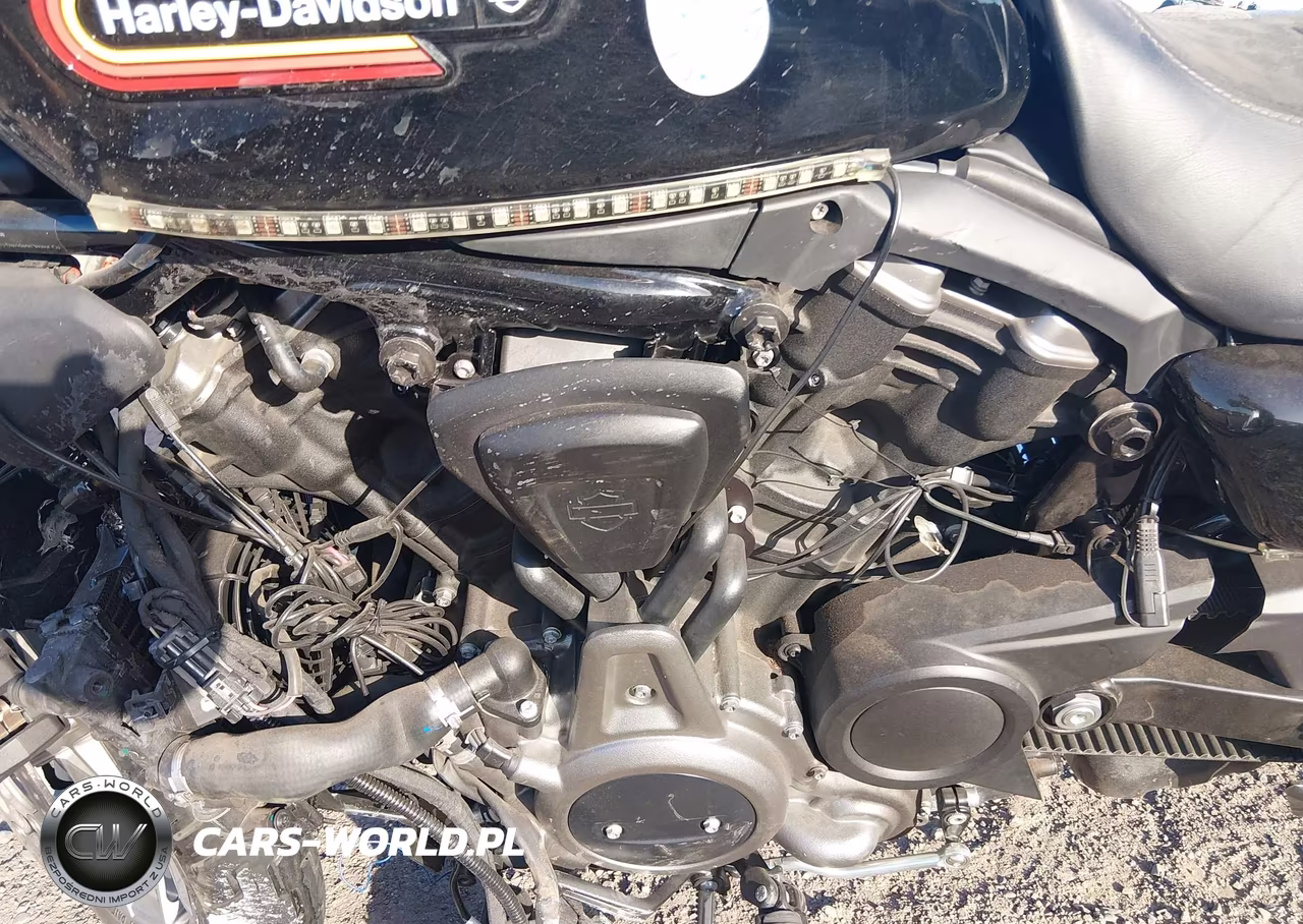 2023 Harley-Davidson Rh975 S VIN:1HD1ZF116PB313247 - 9