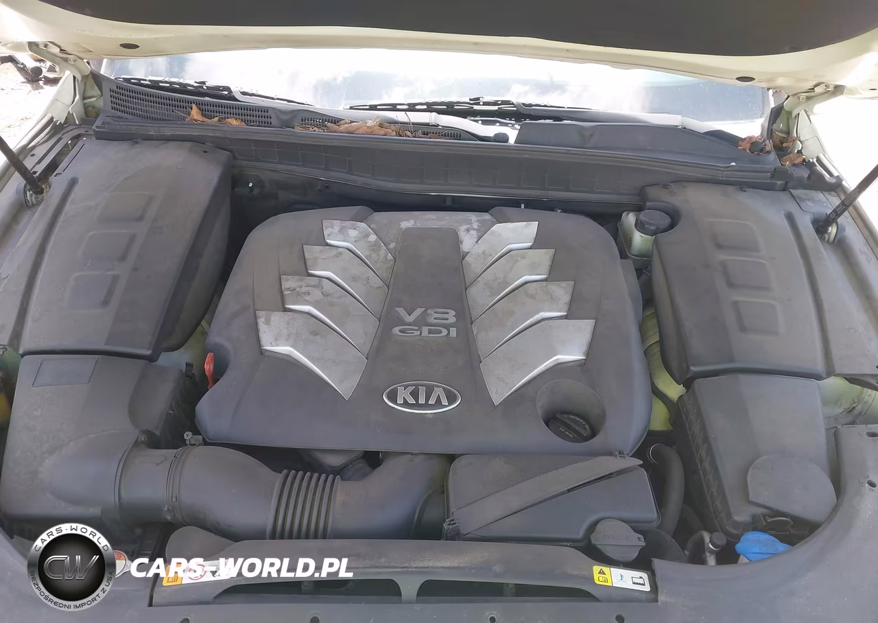 2015 Kia K900 Premium VIN:KNALU4D4XF6025058 - 10