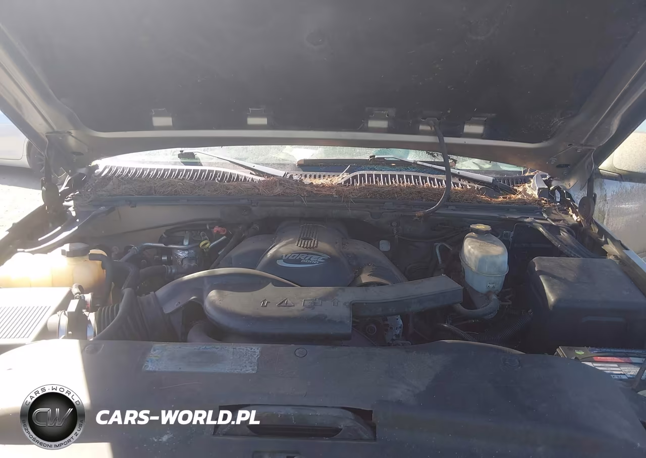 2003 Cadillac Escalade Standard VIN:1GYEK63N23R207039 - 10
