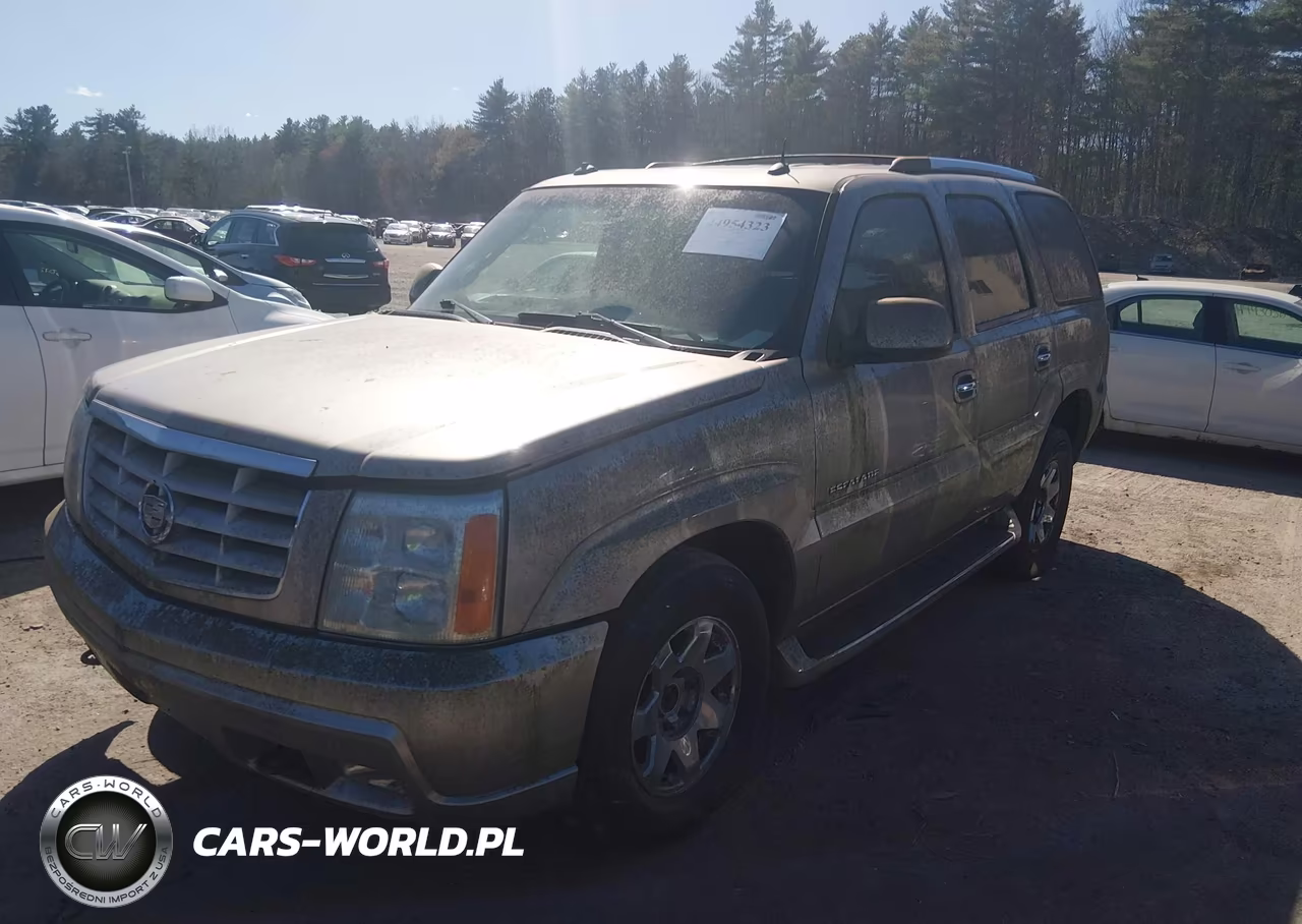 2003 Cadillac Escalade Standard VIN:1GYEK63N23R207039 - 2