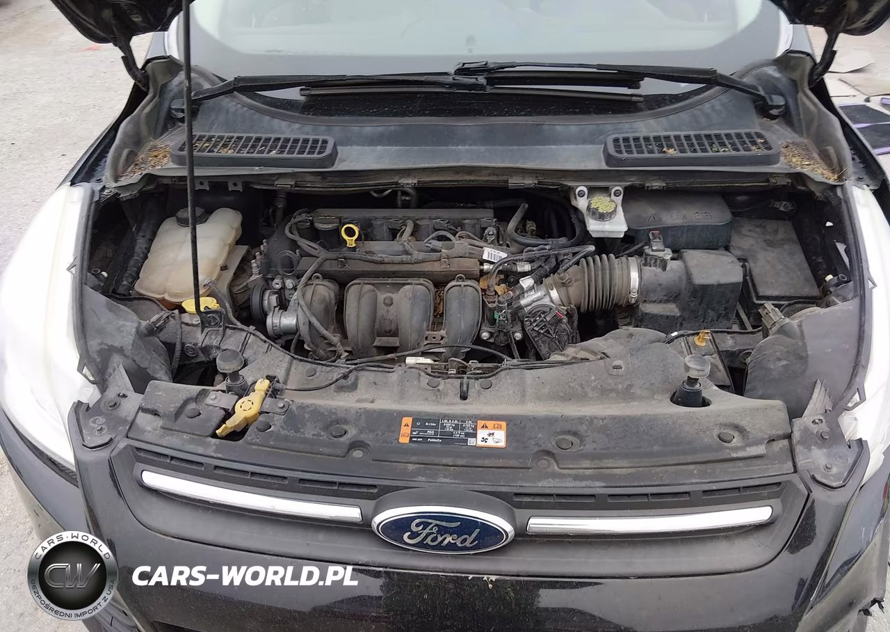 2016 Ford Escape Se VIN:1FMCU0G75GUA25589 - 10