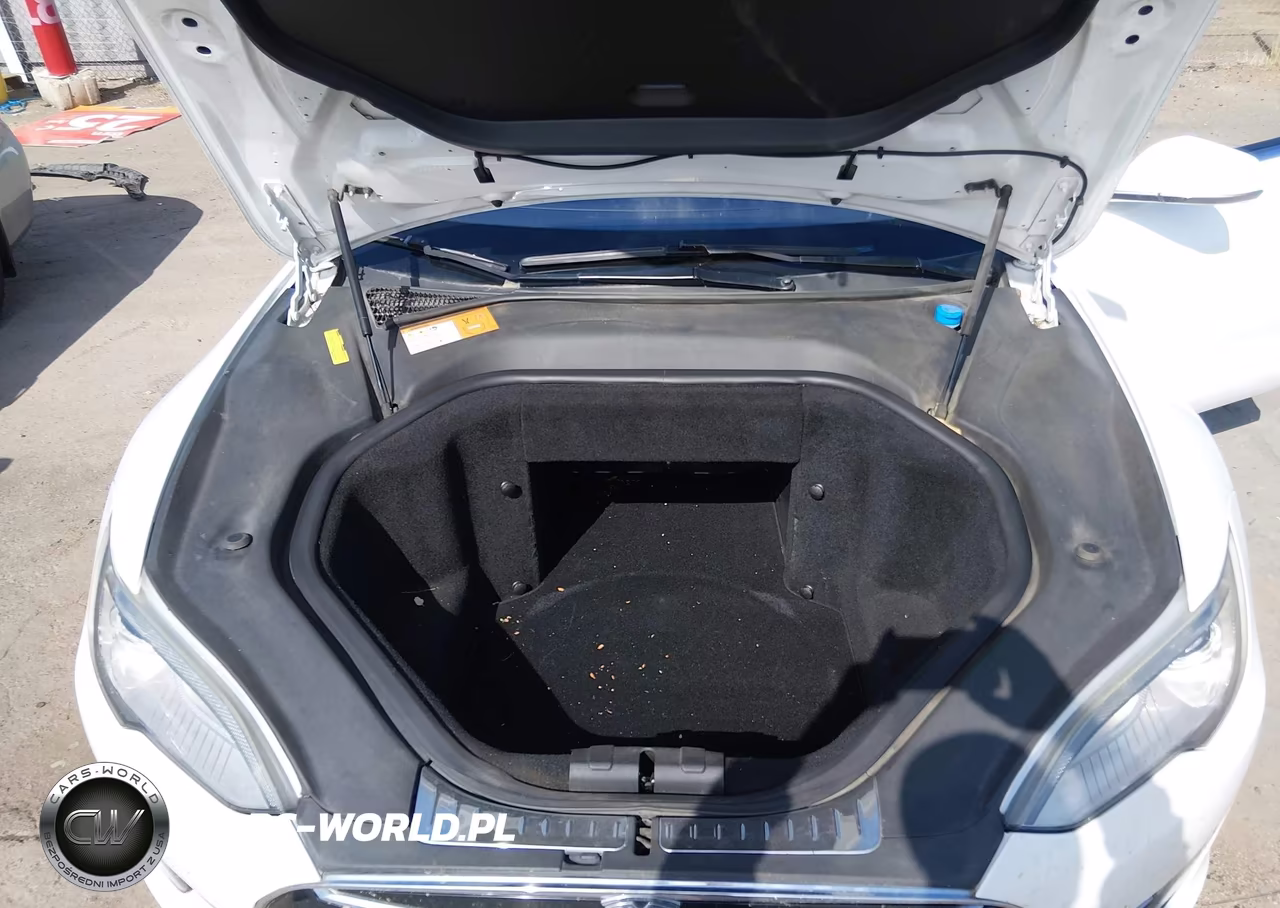 2013 Tesla Model S Performance VIN:5YJSA1DP0DFP14124 - 10
