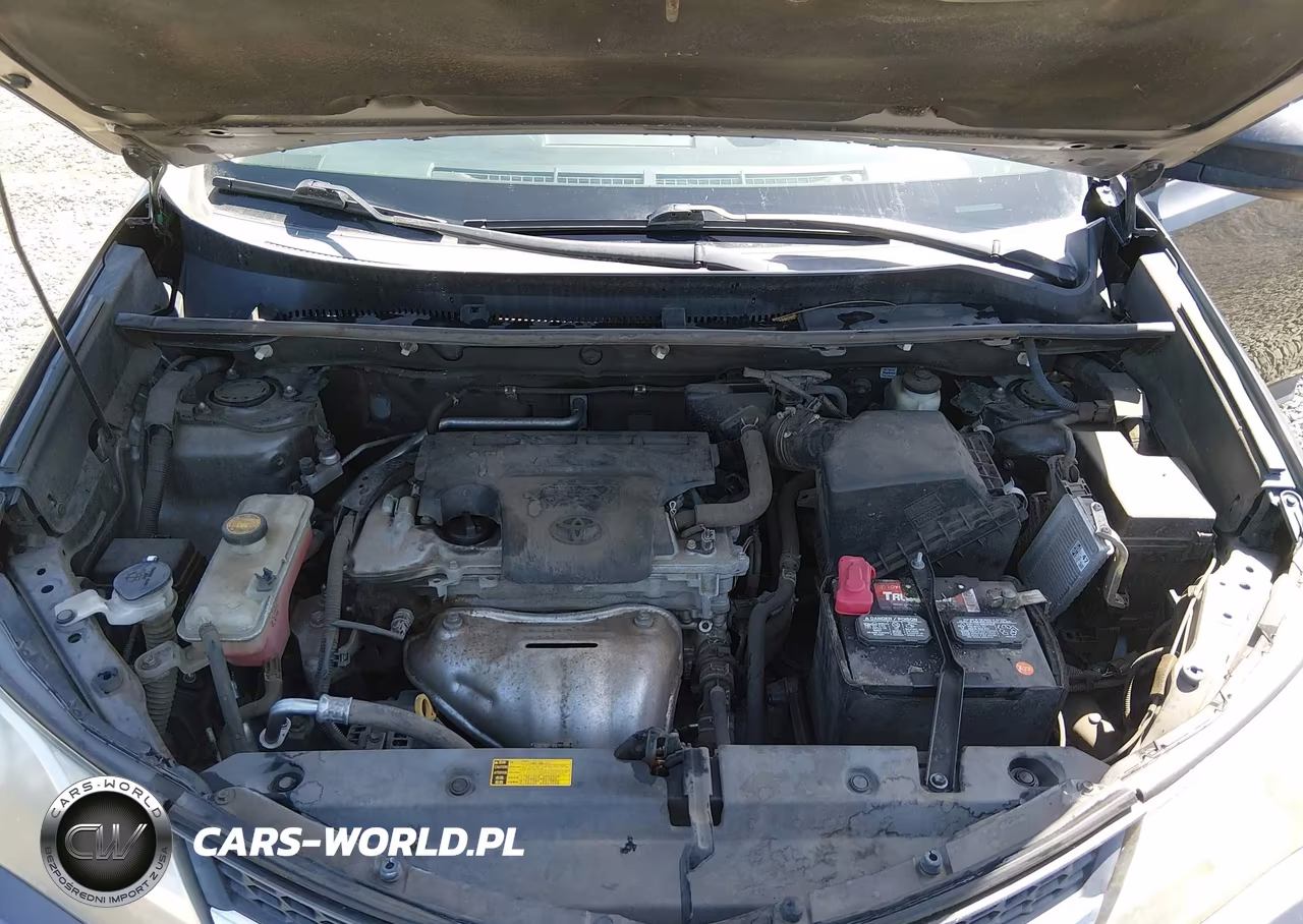 2015 Toyota Rav4 Le VIN:2T3BFREV0FW316003 - 10