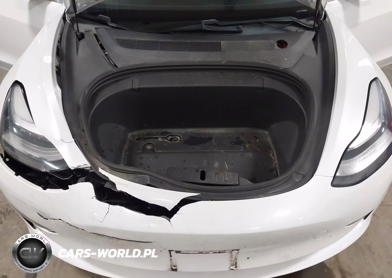 2019 Tesla Model 3 Long Range-Mid Range-Standard Range-Standard Range Plus VIN:5YJ3E1EA0KF484486 - 10