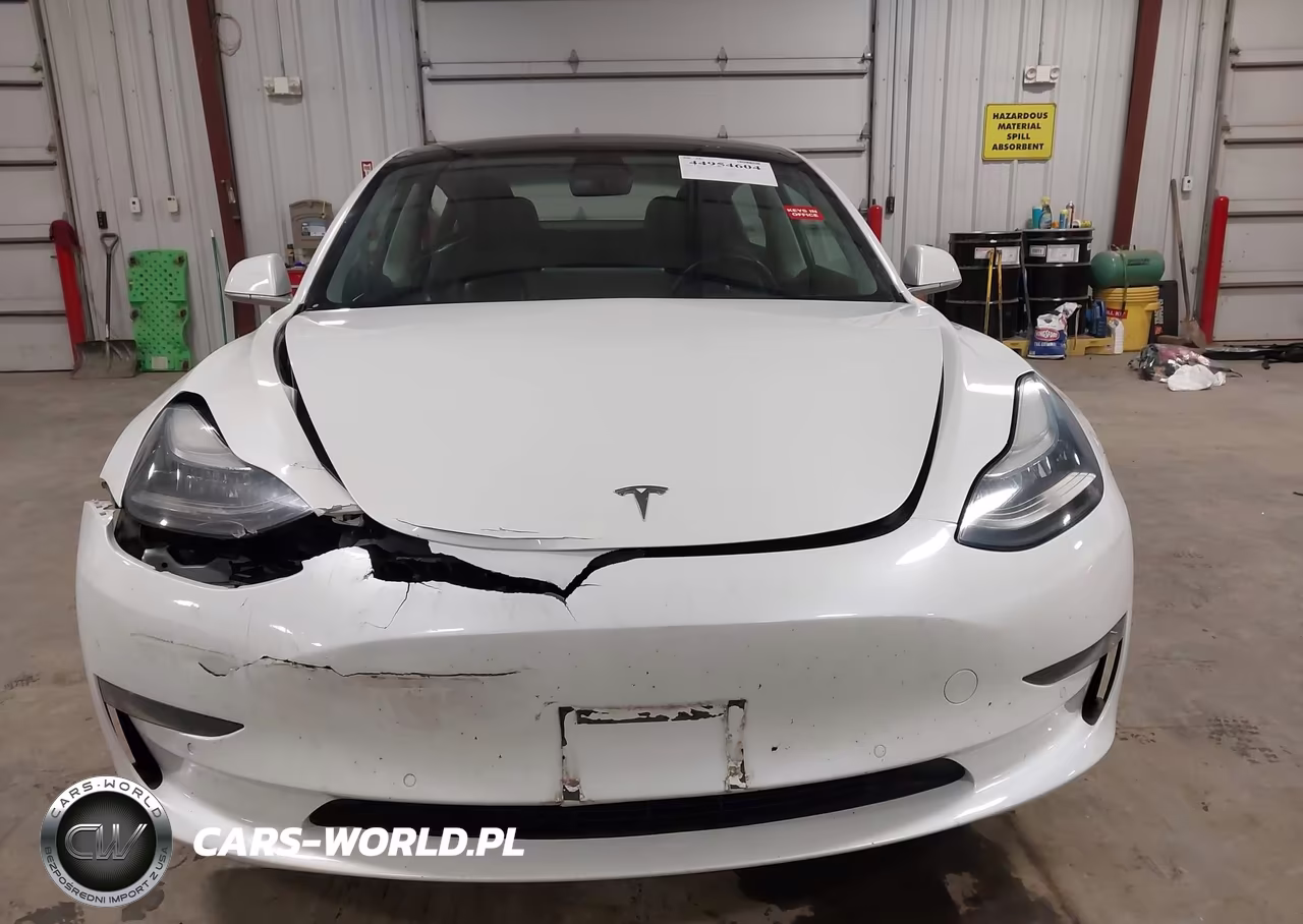 2019 Tesla Model 3 Long Range-Mid Range-Standard Range-Standard Range Plus VIN:5YJ3E1EA0KF484486 - 12