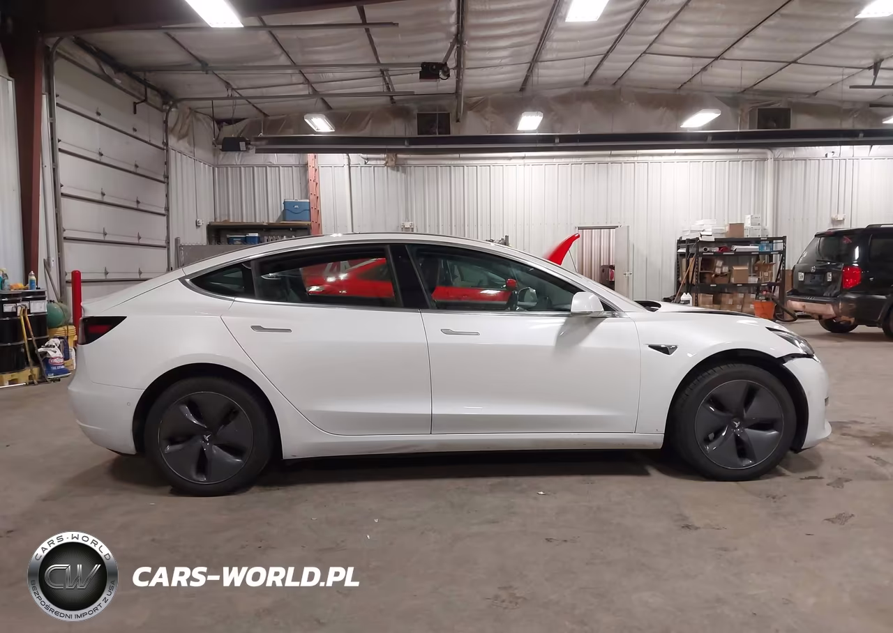 2019 Tesla Model 3 Long Range-Mid Range-Standard Range-Standard Range Plus VIN:5YJ3E1EA0KF484486 - 13