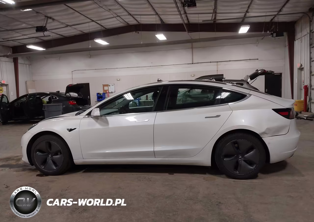 2019 Tesla Model 3 Long Range-Mid Range-Standard Range-Standard Range Plus VIN:5YJ3E1EA0KF484486 - 14