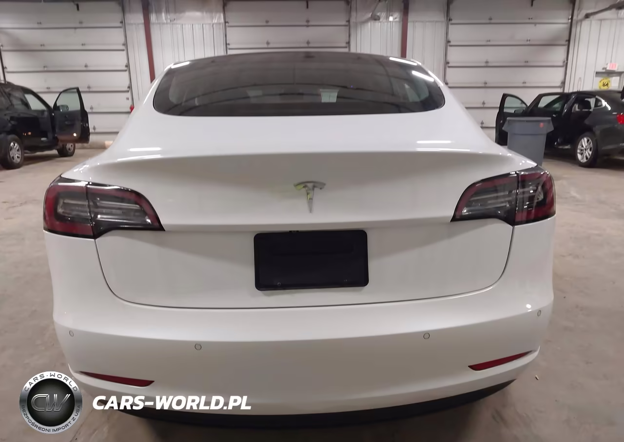 2019 Tesla Model 3 Long Range-Mid Range-Standard Range-Standard Range Plus VIN:5YJ3E1EA0KF484486 - 16