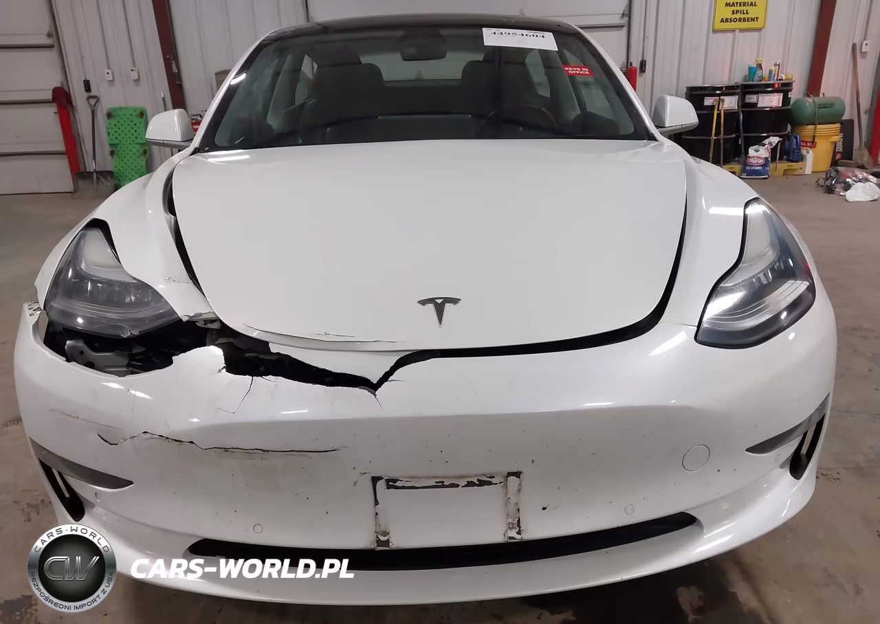 2019 Tesla Model 3 Long Range-Mid Range-Standard Range-Standard Range Plus VIN:5YJ3E1EA0KF484486 - 20