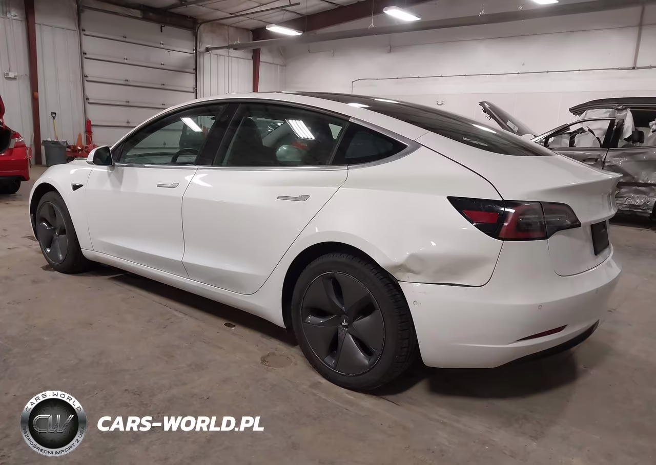 2019 Tesla Model 3 Long Range-Mid Range-Standard Range-Standard Range Plus VIN:5YJ3E1EA0KF484486 - 3
