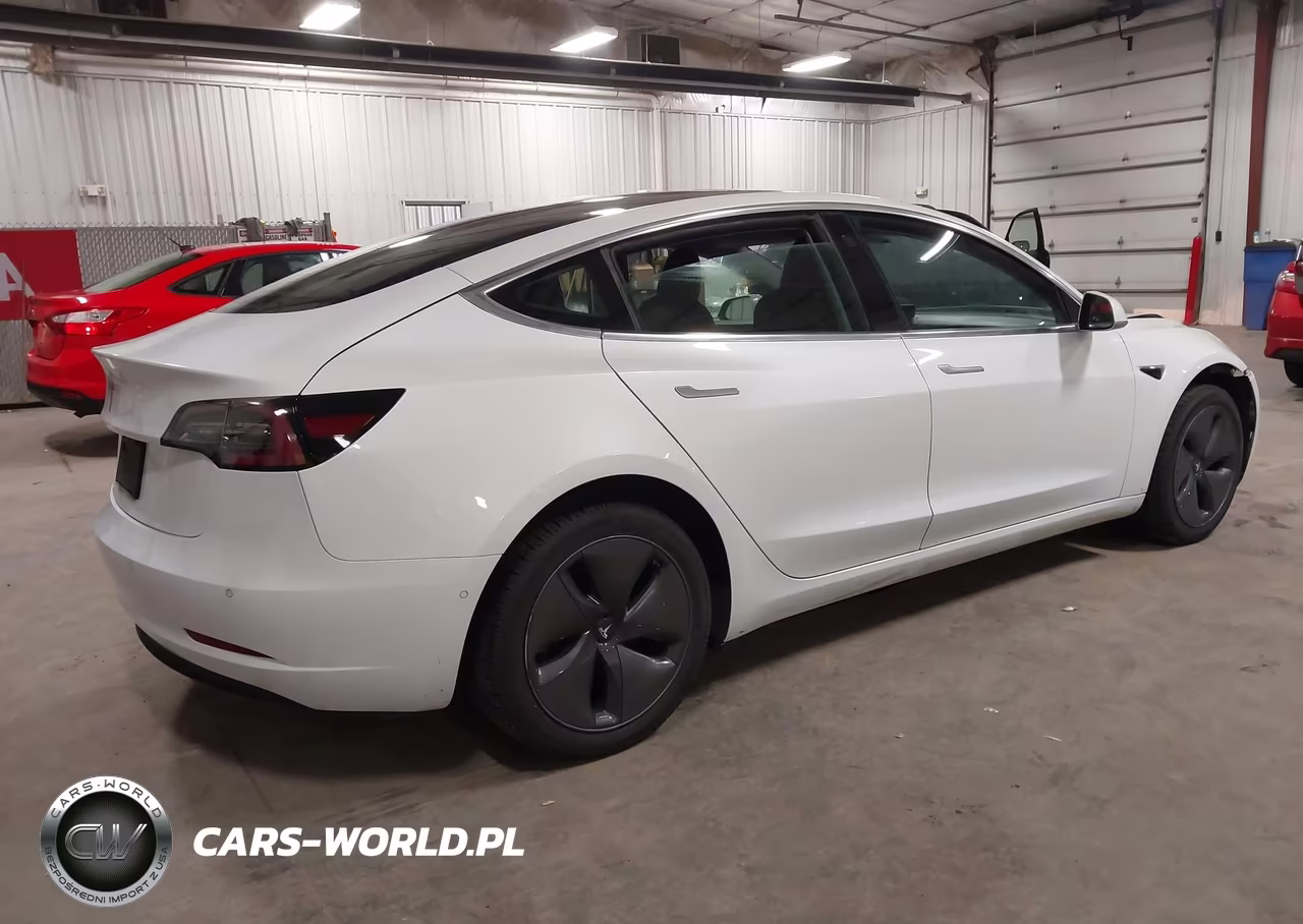 2019 Tesla Model 3 Long Range-Mid Range-Standard Range-Standard Range Plus VIN:5YJ3E1EA0KF484486 - 4