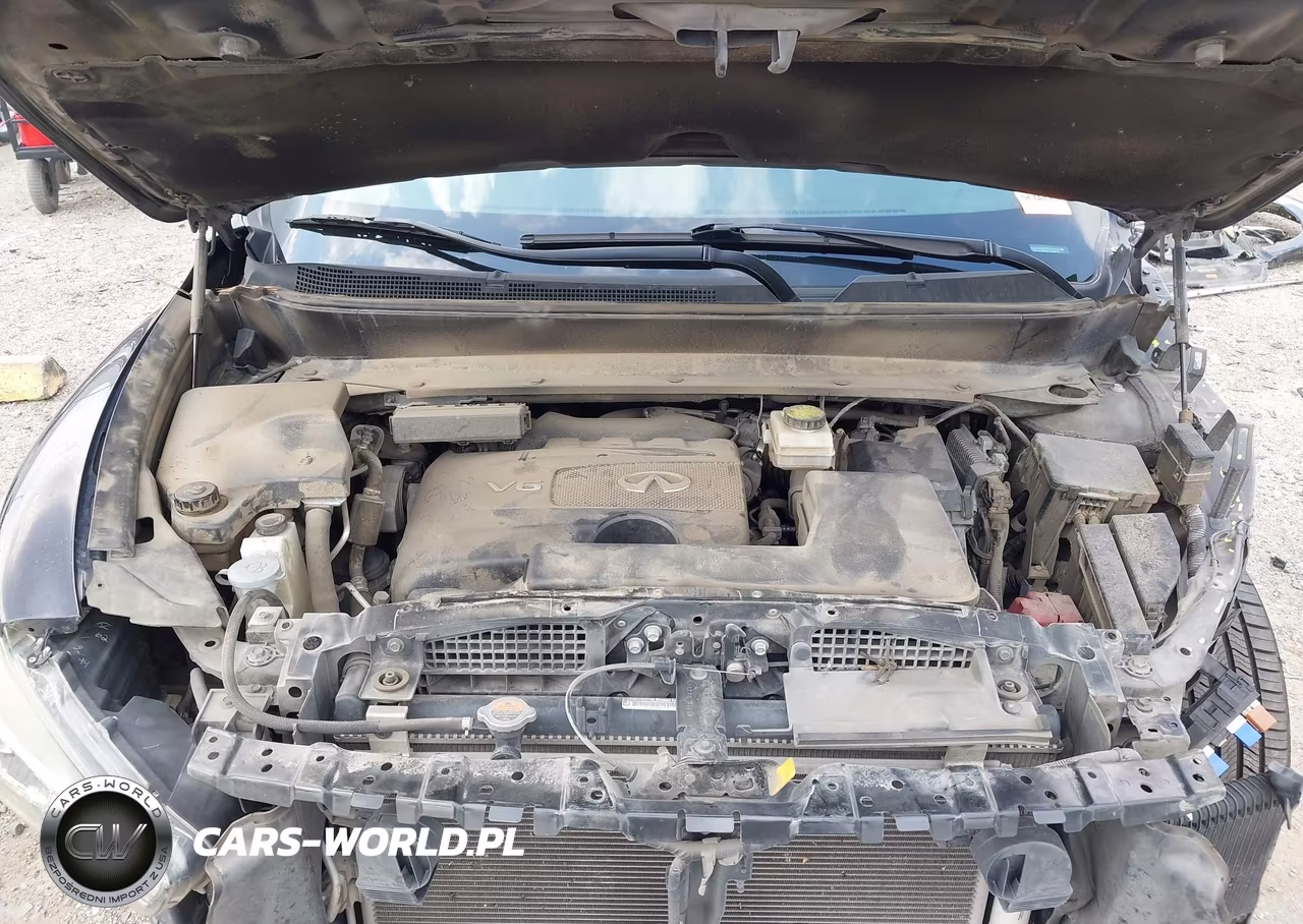 2019 Infiniti Qx60 Pure VIN:5N1DL0MN4KC534274 - 10