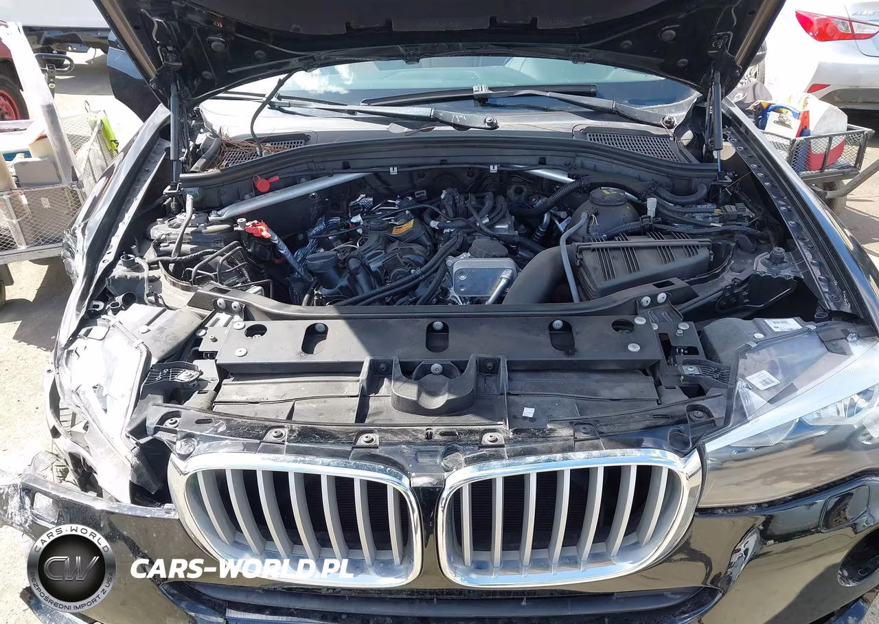 2017 BMW X3 Sdrive28I VIN:5UXWZ7C34H0V88008 - 10