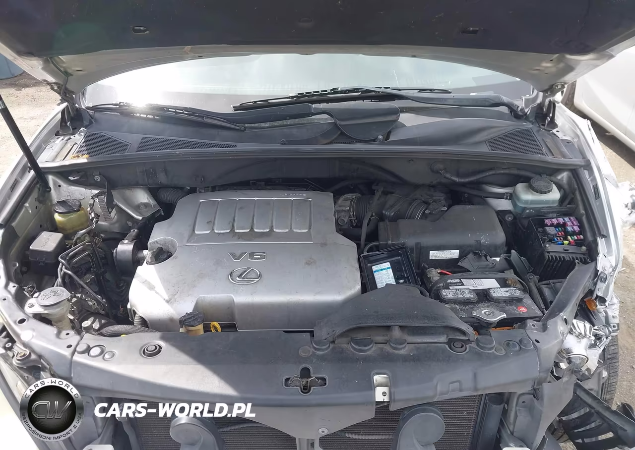 2007 Lexus Rx 350 VIN:JTJGK31U770006767 - 10