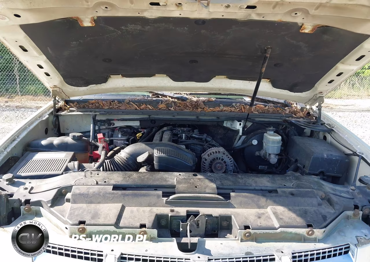 2007 Cadillac Escalade Esv Standard VIN:1GYFK66887R431223 - 10