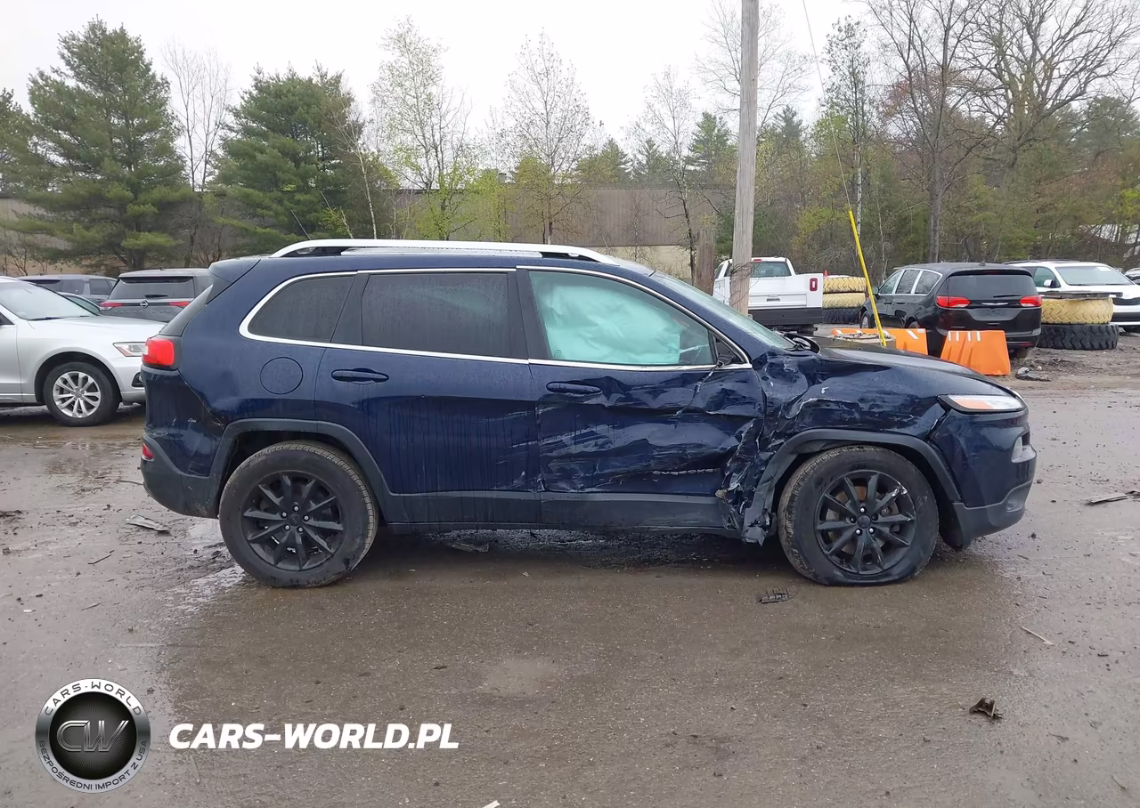 2014 Jeep Cherokee Limited VIN:1C4PJMDS8EW182081 - 13