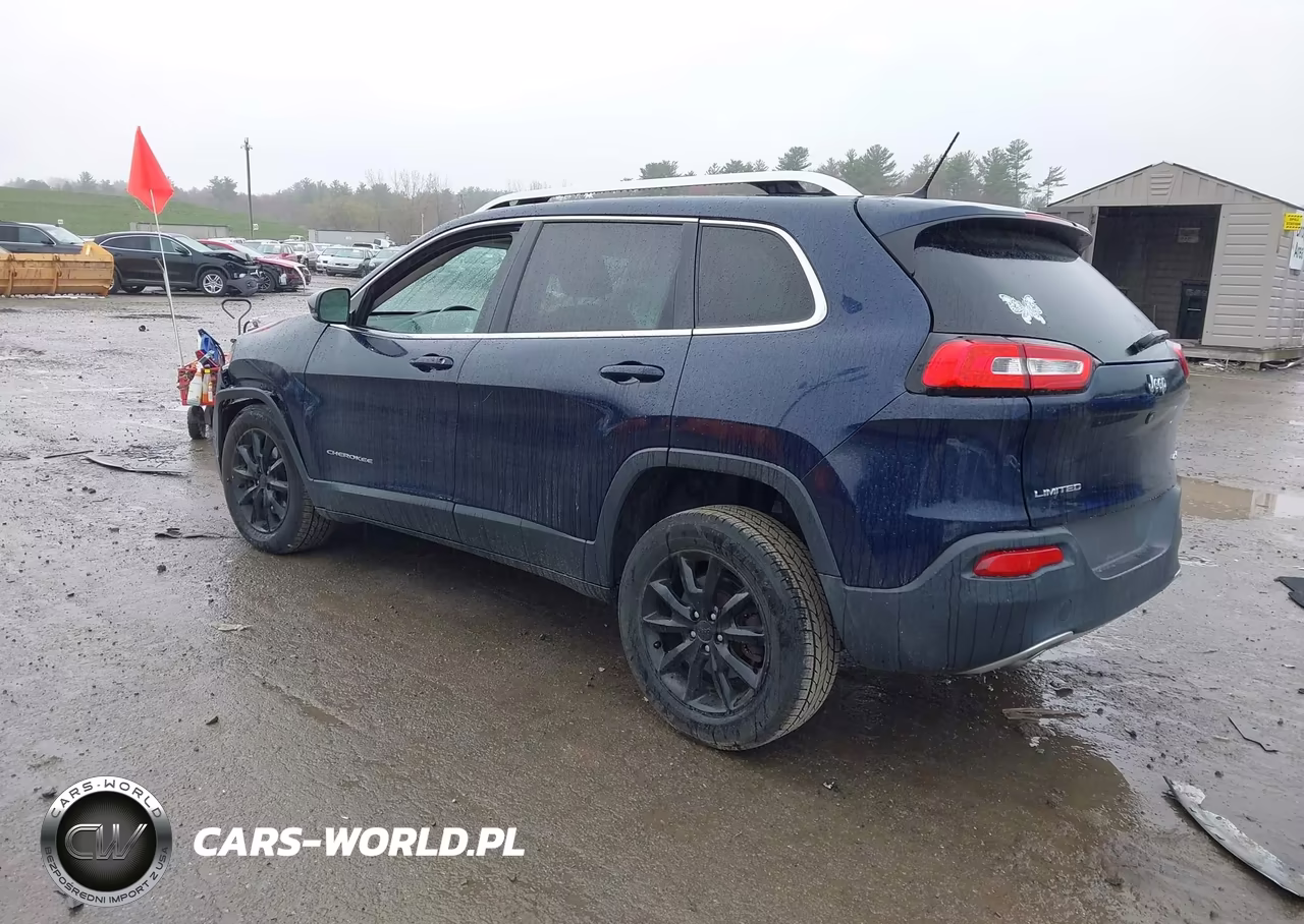 2014 Jeep Cherokee Limited VIN:1C4PJMDS8EW182081 - 3