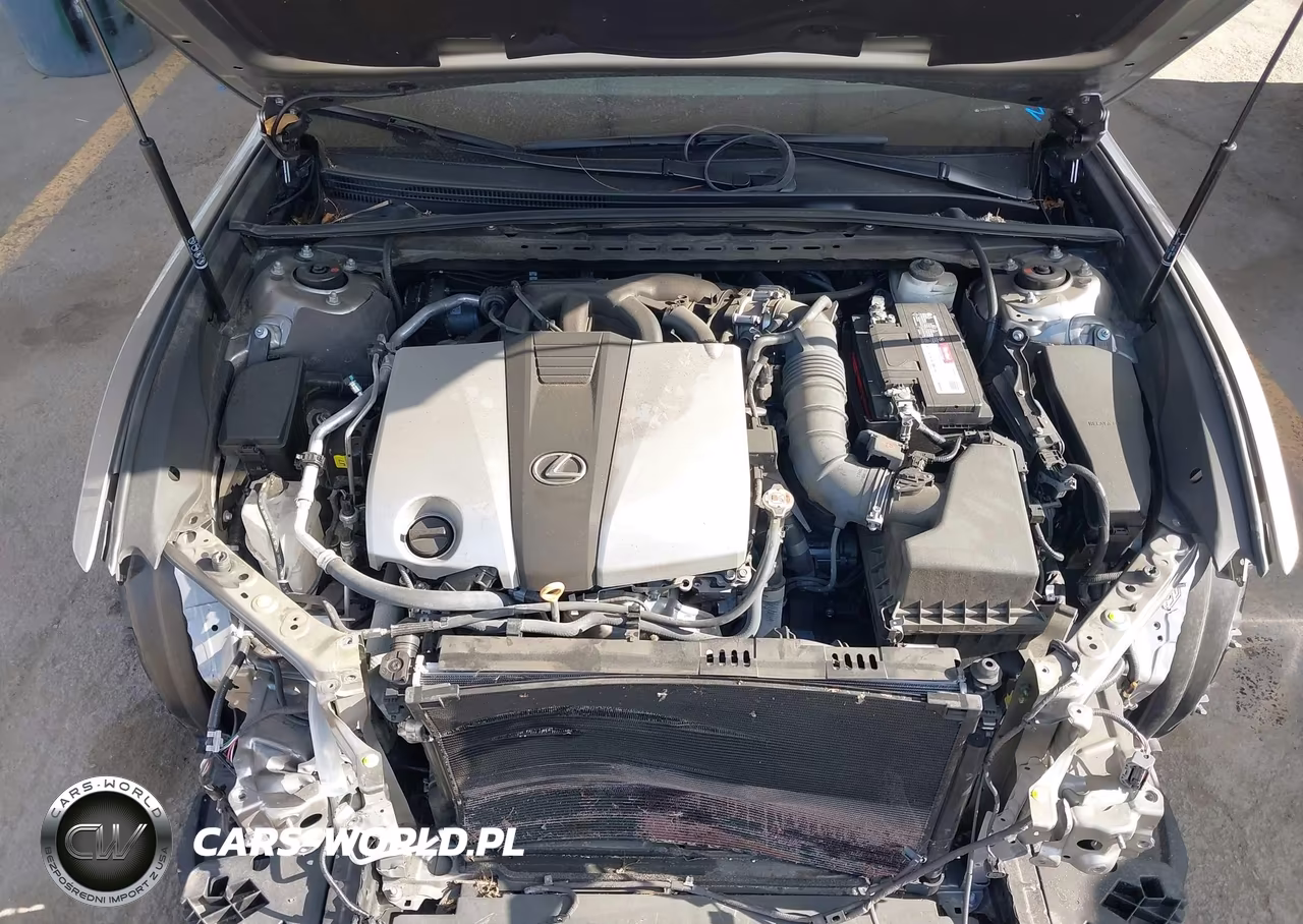2021 Lexus Es 350 VIN:58ADZ1B13MU106027 - 10