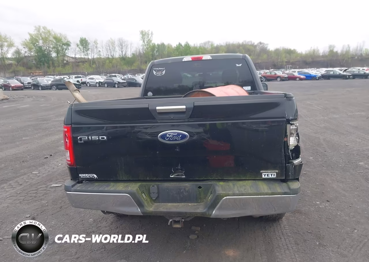 2016 Ford F-150 Xlt VIN:1FTFX1EF4GFC91604 - 16
