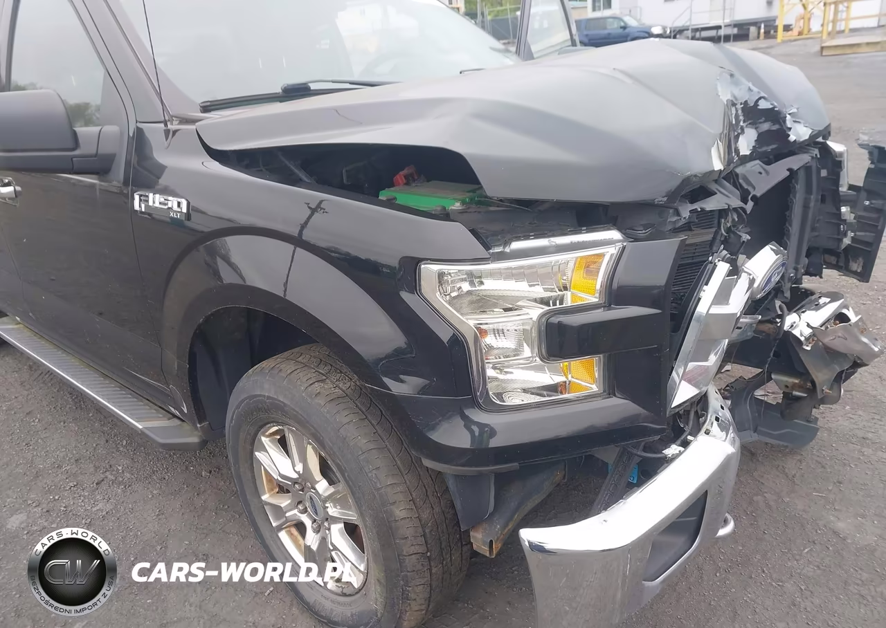 2016 Ford F-150 Xlt VIN:1FTFX1EF4GFC91604 - 17