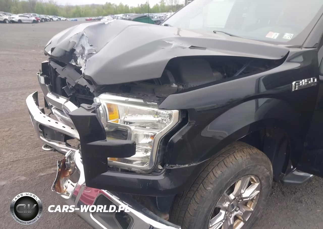 2016 Ford F-150 Xlt VIN:1FTFX1EF4GFC91604 - 18