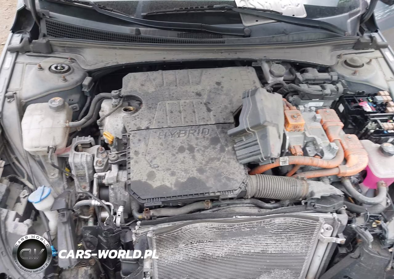 2021 Hyundai Elantra Hybrid Limited VIN:KMHLN4AJ9MU004670 - 10