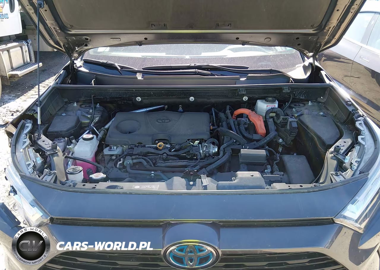2024 Toyota Rav4 Hybrid Xle VIN:2T3RWRFV7RW208558 - 10