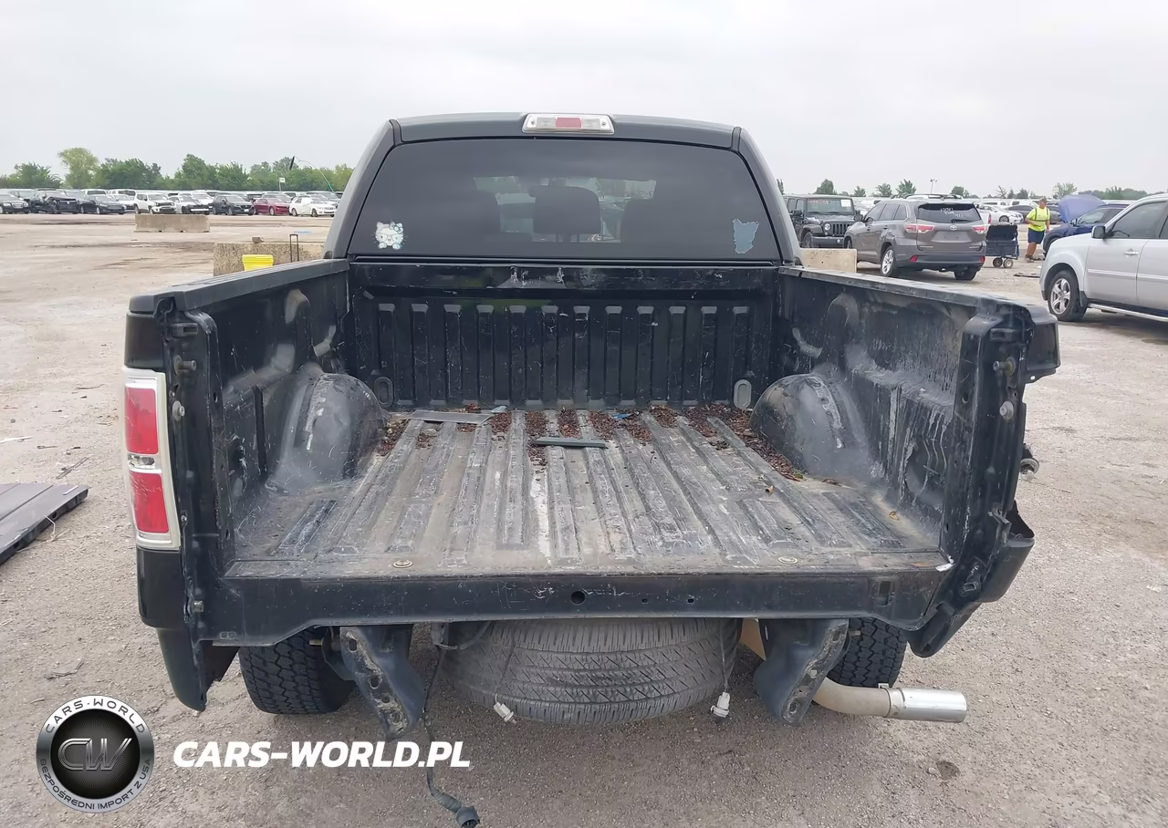 2011 Ford F-150 Xlt VIN:1FTFW1CF6BKD09350 - 17