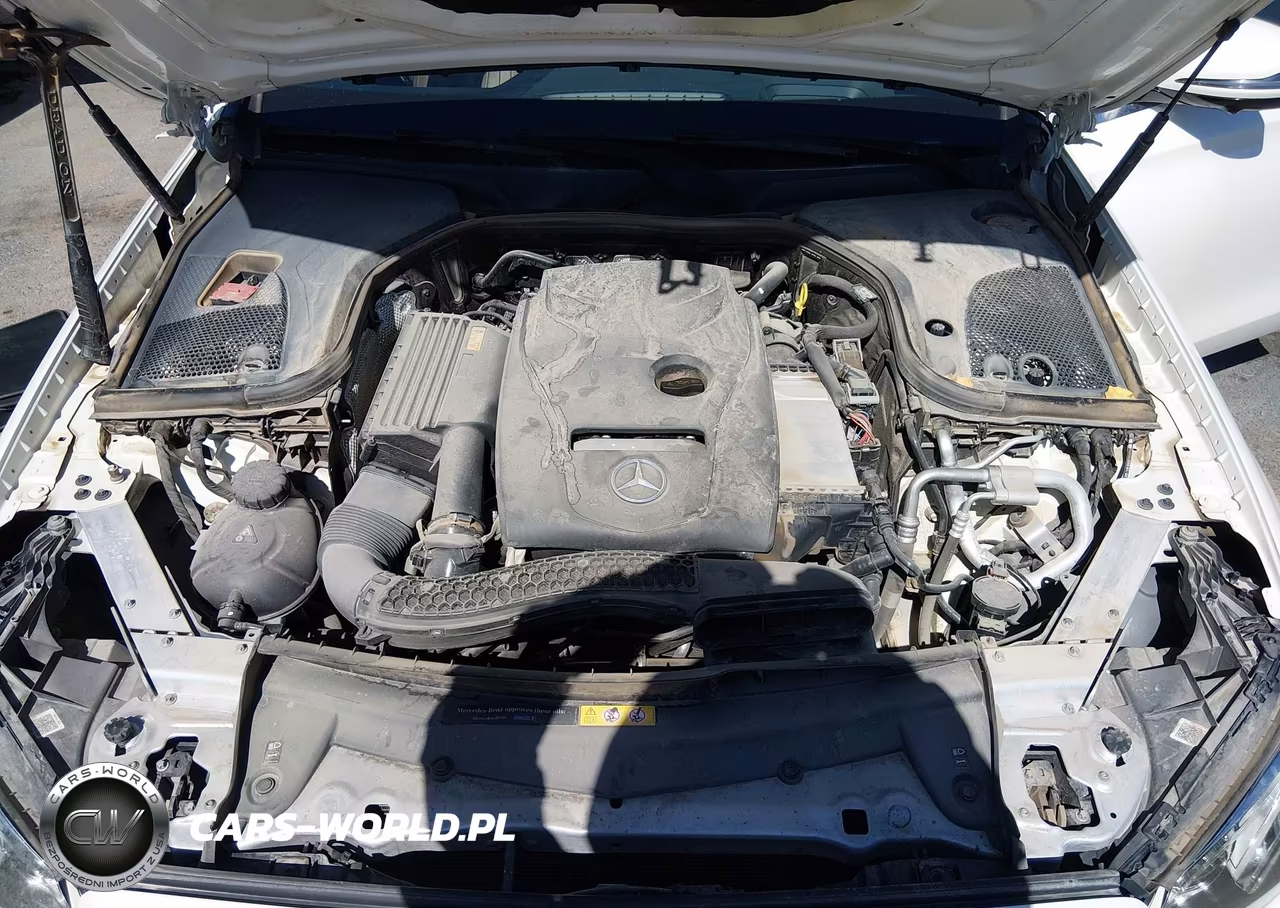 2017 Mercedes-Benz E 300 VIN:WDDZF4JB3HA140679 - 10