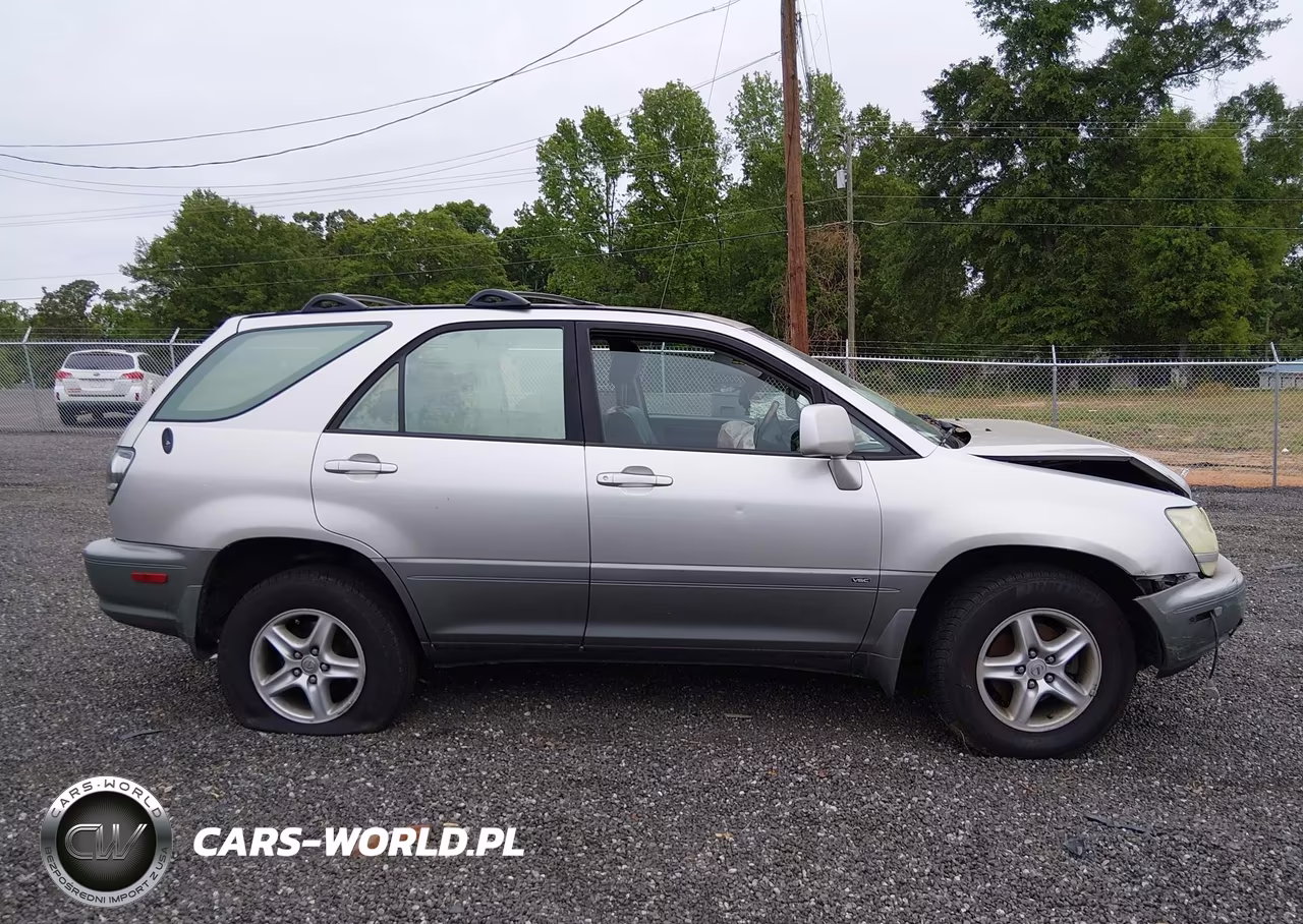 2003 Lexus Rx 300 VIN:JTJGF10U130163411 - 13