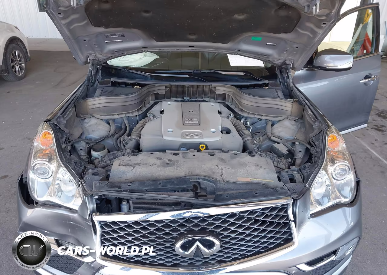 2017 Infiniti Qx50 VIN:JN1BJ0RRXHM407130 - 10