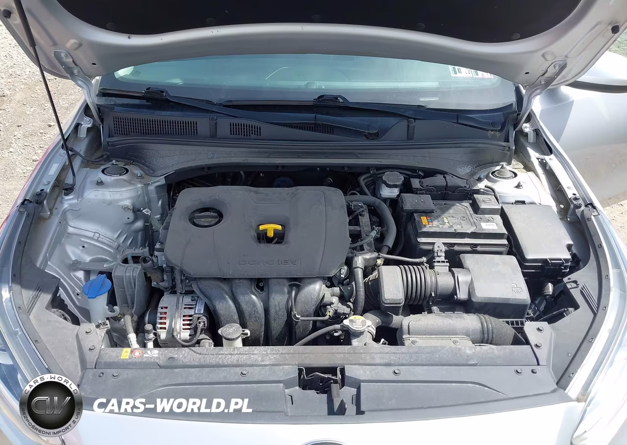 2019 Kia Forte Lxs VIN:3KPF24AD1KE106190 - 10